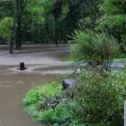 Flash Flood After Irene