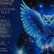 Your Family Of Light Surrounds You It S Ok You Can Trust This