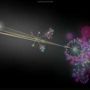 Gource Code Visualization