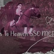 SSO FULL MEP Yes To Heaven