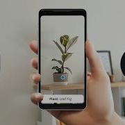 Train Image Classification Models For Flutter Apps In Tensorflow Lite Image Classification Flutter