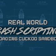 Real World Bash Scripting Loading Cuckoo Sandbox