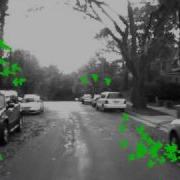 Optical Flow Demo