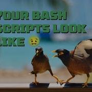 Write Better Bash Scripts Use ShellCheck And Shfmt