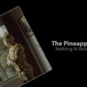 The Pineapple Thief Nothing At Best Acoustic