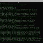 Nmap Output Options