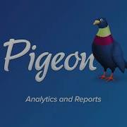 Pigeon Admin Analytics And Reports