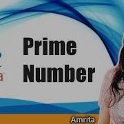 Prime Number In JAVA