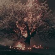 ANNISOKAY Inner Sanctum OFFICIAL VIDEO