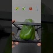 Which One Will Fit It