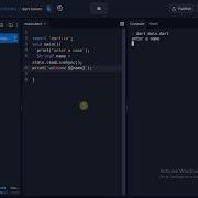 Integer And Double Input Type In Dart Programming