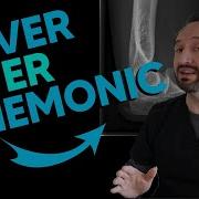 Lever Classes Of The Body Easy Mnemonic