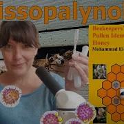 Melissopalynology Beekeepers Guide For Identification Pollen Of Honey