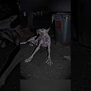 Skinwalker Disguised As Animals PRT 99 Viral Ytshorts