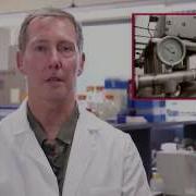 Microbial Growth In Food Why Is Temperature Important