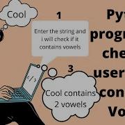 Python Program To Check If User String Contains Vowels