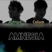 5SOS Amnesia Color Coded Lyrics