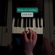 Birds Of A Feather Easy Tutorial Piano Billieeilish Tipsandtricks Pianomusic Tutorial