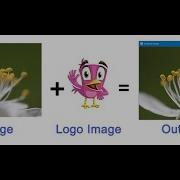 Digital Image Watermarking In Python Project With Source Code