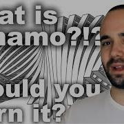 What Is Dynamo And Why Should You Learn It