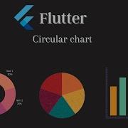 Circular Chart In Flutter