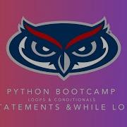 If Statements While Loops Module 3 Python Bootcamp