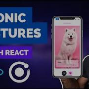 Using Ionic Gestures In A React App