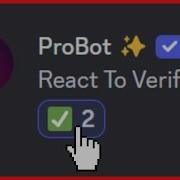 Создайте систему проверки Discord с помощью ProBot
