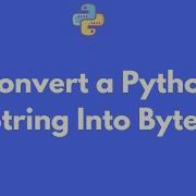 How To Turn A Python String Into Bytes