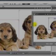 CrazyTalk6 Tutorial Multi Actor Project