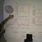 Scott Kelso Brains And Coordination Dynamics