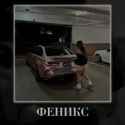 BEARWOLF Феникс Taycan Remix