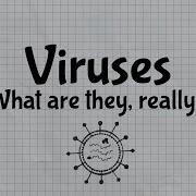 What Is A Virus Quick Learner