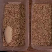 Pulling Reticulated Python Eggs