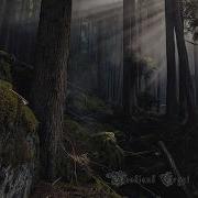 Woodland Crypt Gloomy Woodland Sepulcher 2026 Full Album