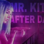 Mr Kitty After Dark Blade Runner 2049