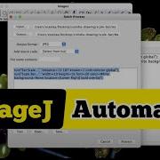 Batch Processing In ImageJ Automatic Image Processing With A Single Click Microscope Image Analysis