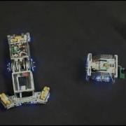 Visual Based Docking Procedure For Replicator Robots
