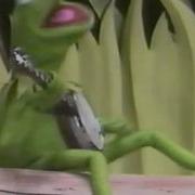 Kermit The Frog Rainbow Connection