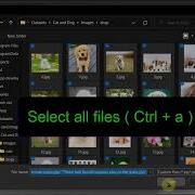 Train To Classify Images Using Google Teachable Machine
