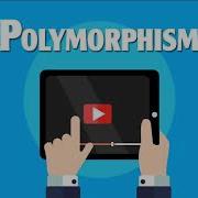 Tutorial 3 Part 4 VB Tutorials Polymorphism In VB NET