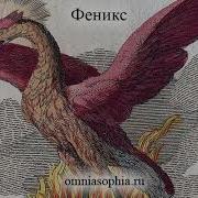 Феникс символизм и значение