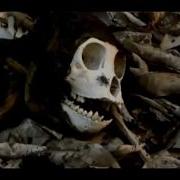 The Killing Fields Trailer