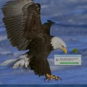 How To Get Visual Basic 2008 Express Edition