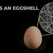 Eggshell Salt And Pepper Under An ELECTRON MICROSCOPE