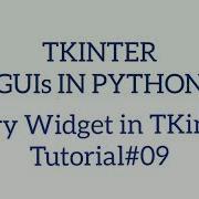Entry Widget In TKinter TKINTER GUIs IN PYTHON Tutorial 09