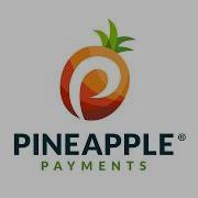 Pineapple Payments Custom Settings