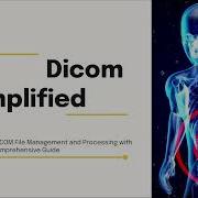 Dicom Simplified A Course About Dicom Files With Python