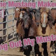 PICKING OUT MY MUSTANG Extreme Mustang Makeover 2021