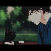 AMV Ao Haru Ride Be Somebody